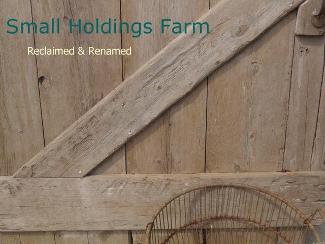 Small Holdings Farm Blog