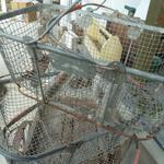 Vintage Wire Locker Basket
