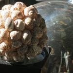 Sea Shell Kissing Ball - Hang or use as Table Top Decor